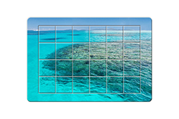 写真を使ったDM や商品に！