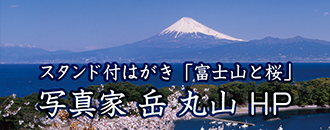 スタンド付はがき「富士山と桜」写真か 岳 丸山 HP